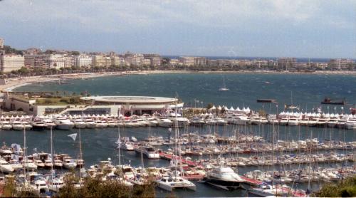 Cannes Harbor