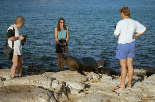 Meeting the Seals