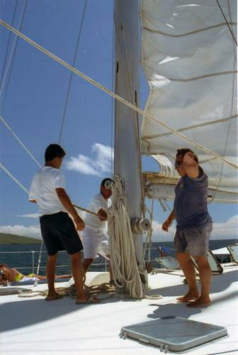 Putting up the Sails