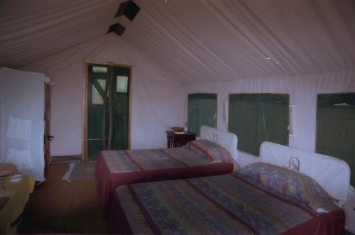 My room at Shindi Camp