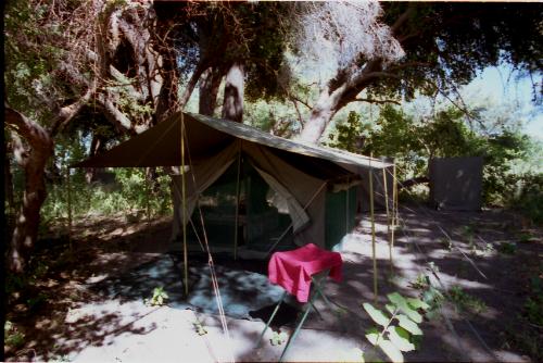 My Tent at Wilddog Camp