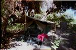 My Tent at Wild Dog Camp