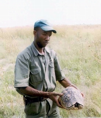 Bibi with Leopard Tortoise - Selinda