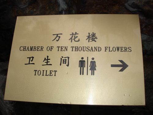 Toilet Sign China 2010