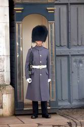Guard at St James Palace