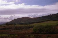 Scottish Countryside